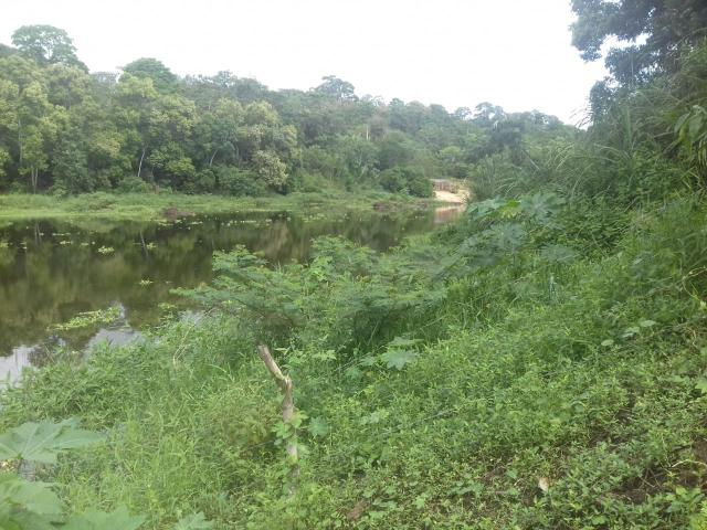 Fazenda Marau/Ubaitaba - Foto 8