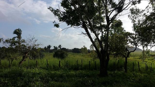 Fazenda na BR 135 - Foto 2
