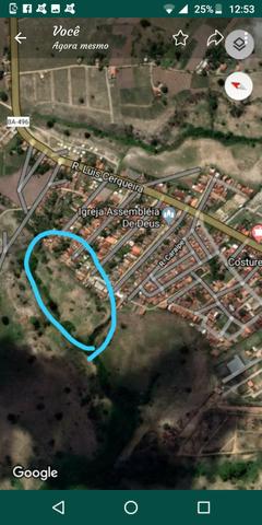 Pastagem na cidade