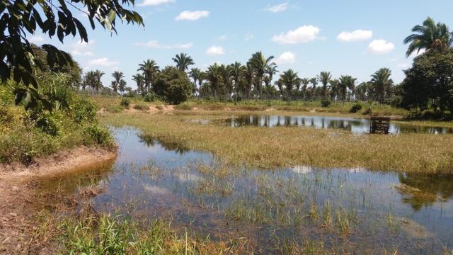 Fazenda na BR 135 - Foto 14
