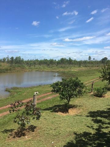 Fazenda - Foto 4