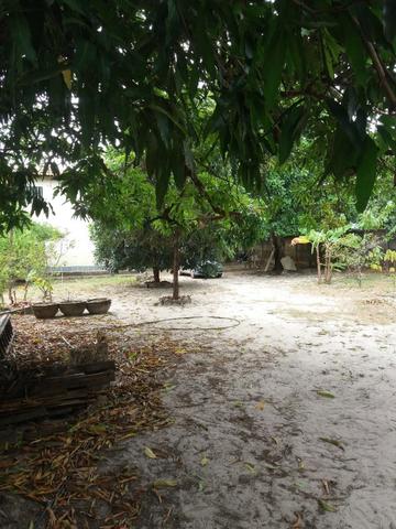 Linda chácara no Itapéra, Maioba , com 1.750 m² - Foto 19