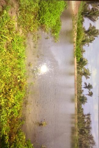Vende-se Fazenda (abaixo o preço p vender logo) - Foto 2