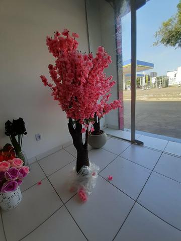 Decoração