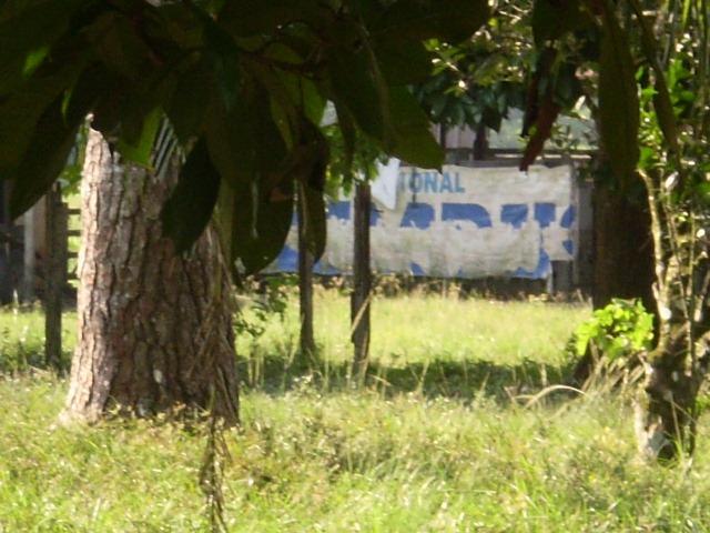 Área 32 Hectares na BR 316 Km 21 ao lado da Policia Rodoviária e Verbras - Foto 10