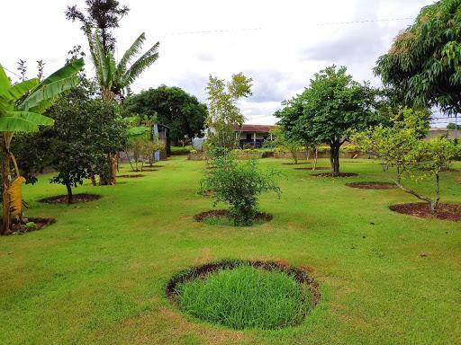 Chácara à venda, 5000 m² por R$ 600.000 - Três Lagoas - Foz do Iguaçu/PR