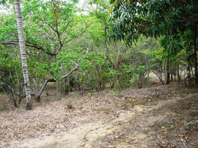 COD-116: Sítio em Bicuiba - Saquarema - Foto 7