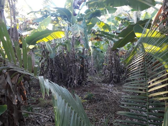Chácara de 38,2 hectares, ha 66 km de Cuiabá, em Acorizal ! - Foto 11