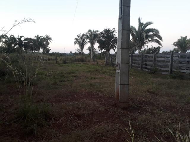 Chácara de 38,2 hectares, ha 66 km de Cuiabá, em Acorizal ! - Foto 7