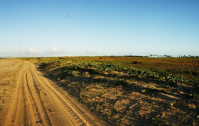 Vendo Área na Beira Mar na Paria de São Miguel do Gostoso - RN - Foto 6