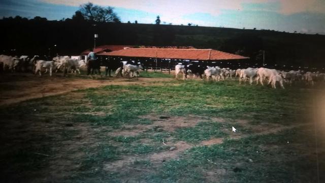 Vendo fazenda de Pecuária com 1.720 hectáres - Foto 20