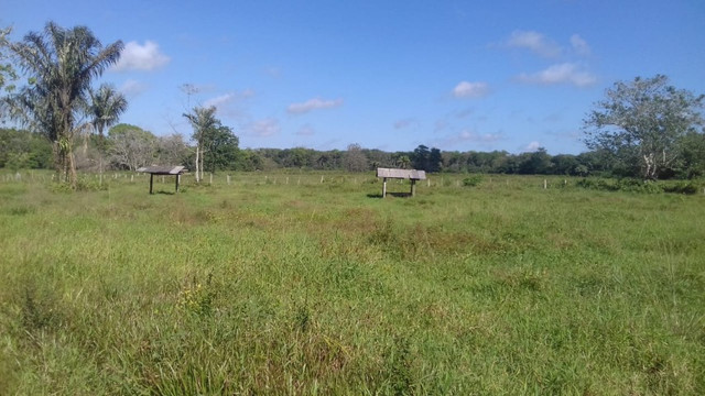 Sítio no Pará,20 hectares com pasto, curral, casa ,igarape por 250 mil reais - Foto 2