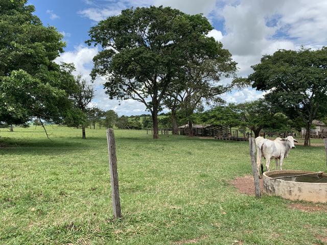 Fazenda 20 alqueires em Piracanjuba - Foto 14