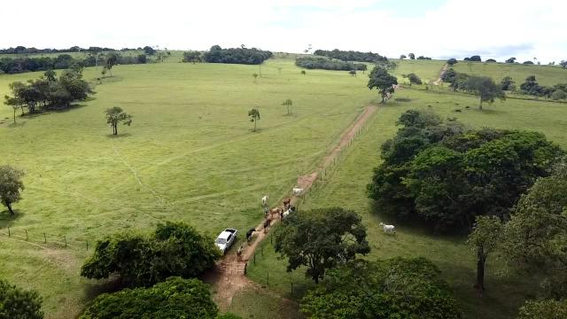 Fazenda 20 alqueires em Piracanjuba - Foto 11
