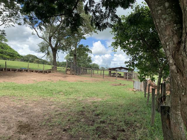 Fazenda 20 alqueires em Piracanjuba - Foto 17