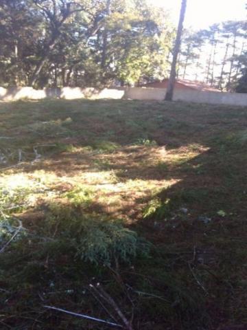TERRENO RESIDENCIAL À VENDA, PINHEIRINHO, CURITIBA - TE0173. - Foto 10