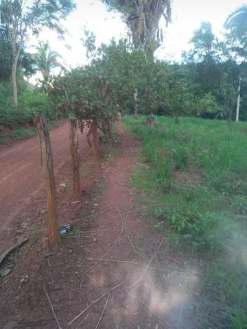 Chácara em Taquaruçu - Foto 5