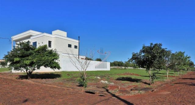 Terreno à venda, 600 m² por R$ 140.000,00 - Cond. Rose Garden - Foz do Iguaçu/PR - Foto 4