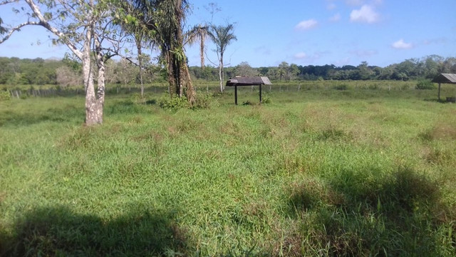 Sítio no Pará,20 hectares com pasto, curral, casa ,igarape por 250 mil reais - Foto 6