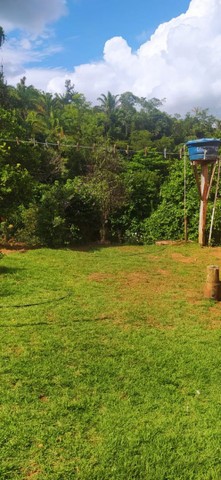 Fazenda em Aparecida do Rio Negro. 67 mil o alqueire. - Foto 3