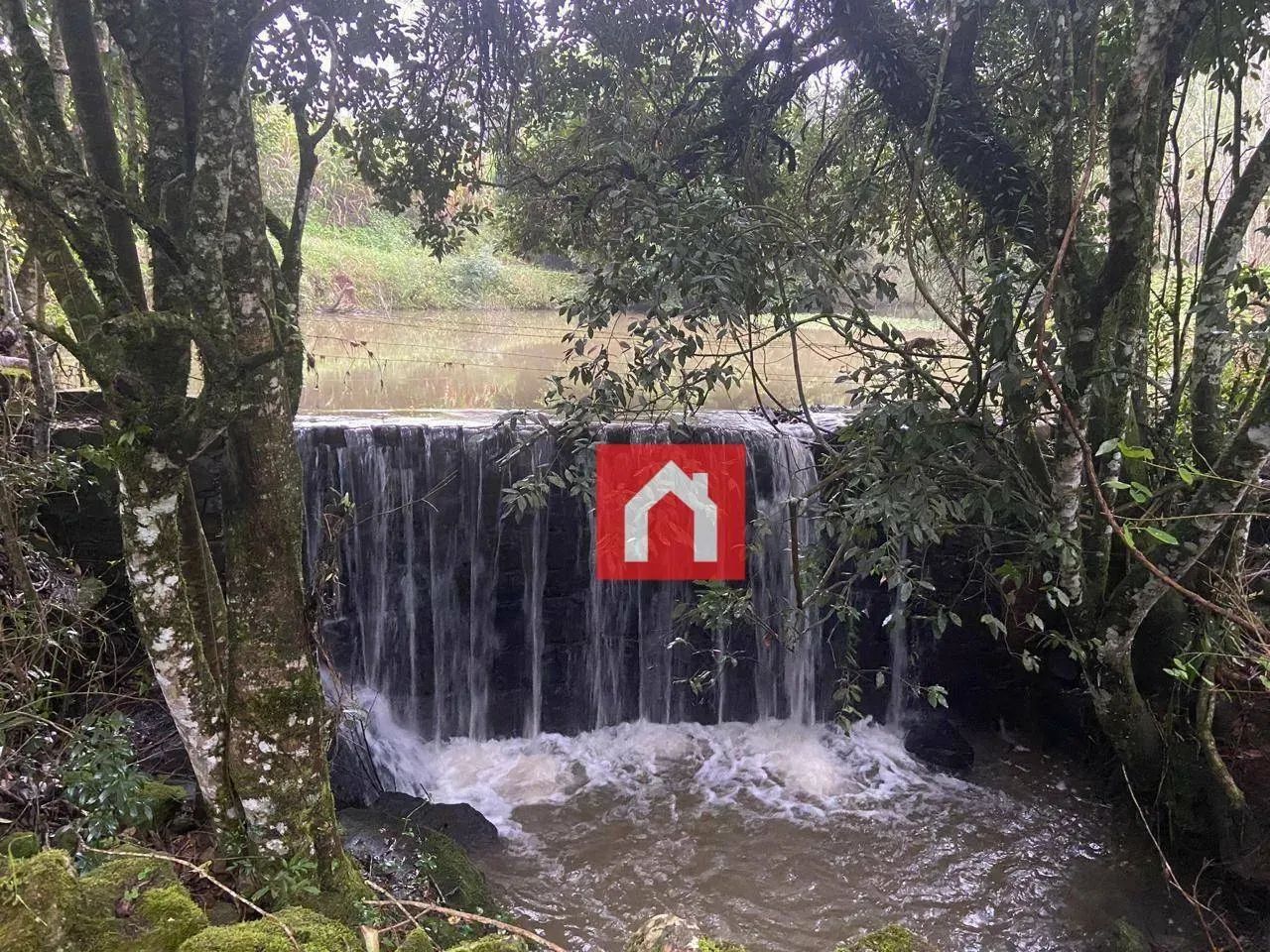 Belíssima chácara em Nova Sardenha!! - Foto 3
