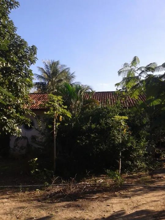 Excelente Sítio em Sampaio Correa - Saquarema, 100% Plano, Entrada Rod. Amaral Peixoto - Foto 4