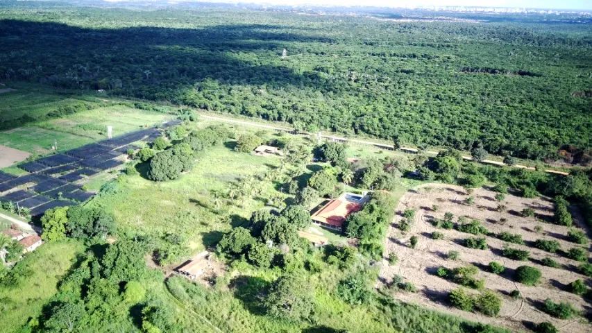 Fazendinha de 21 Hectares - Após Cond. Aldebaran PI-112 - Foto 2