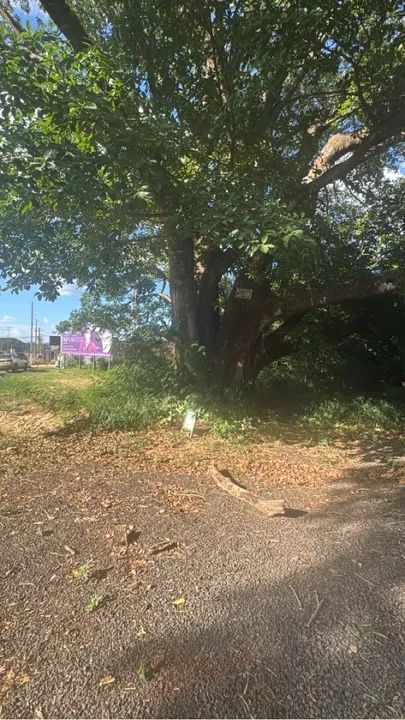 Terreno Comercial em Dourados/ MS - Foto 2