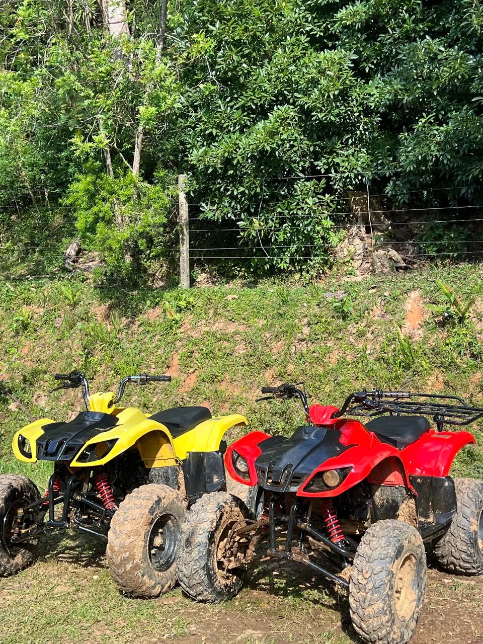 Quadriciclo para Adulto e criança  - Foto 5