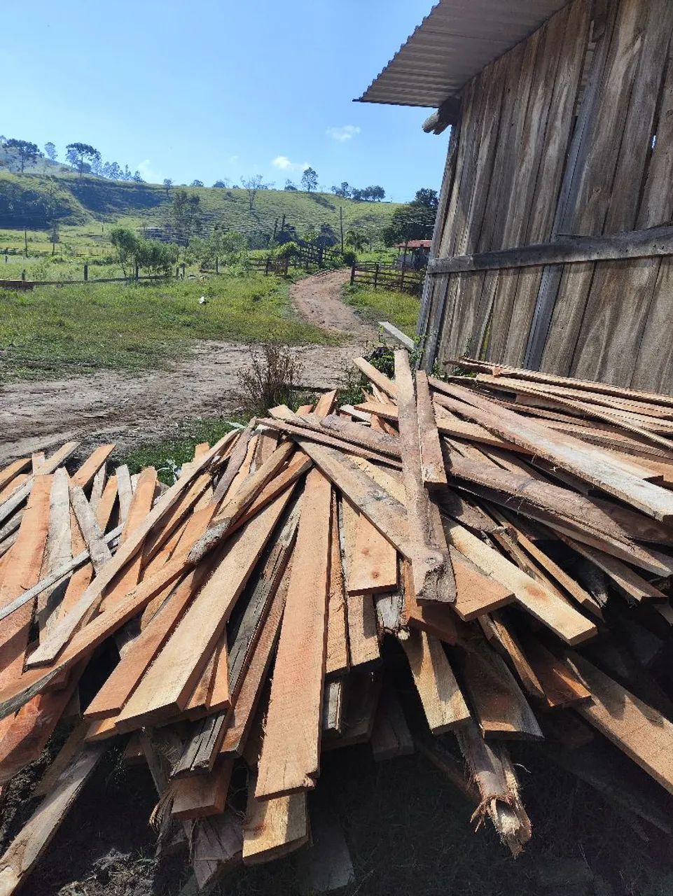 Costaneira de Eucalipto 64309220339458121