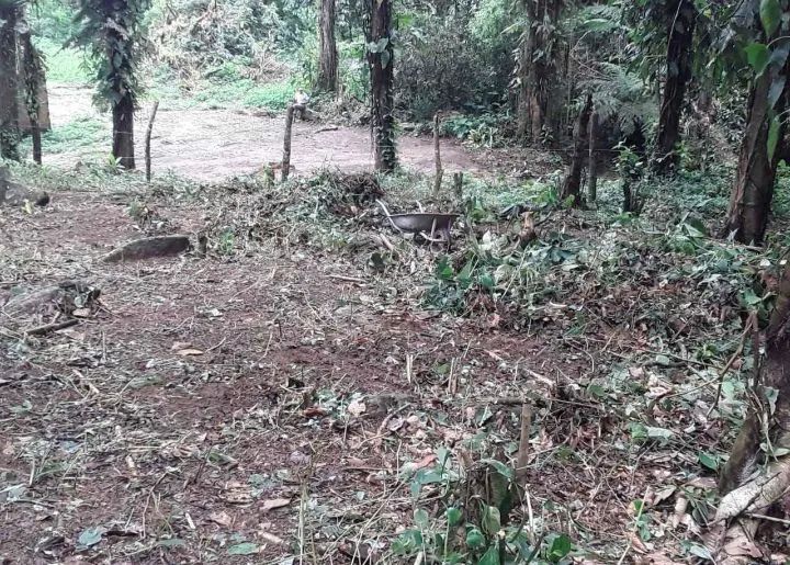 Terreno em Angra dos Reis  - Foto 5