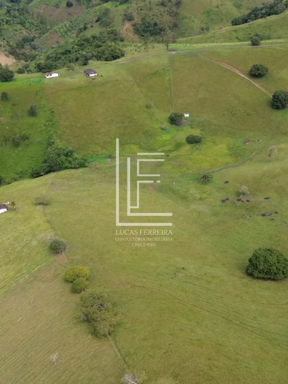 Excelente fazenda de 87 hectares a 6km da cidade de Santana do Mundaú