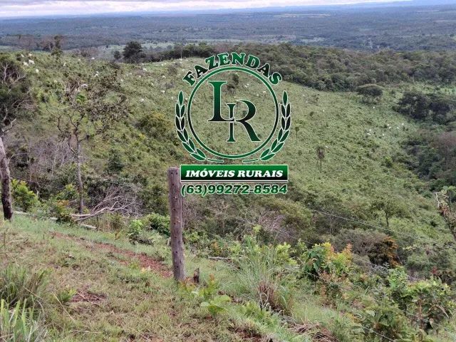 Fazenda 33 Alqueires Dupla Aptidão. - Foto 4