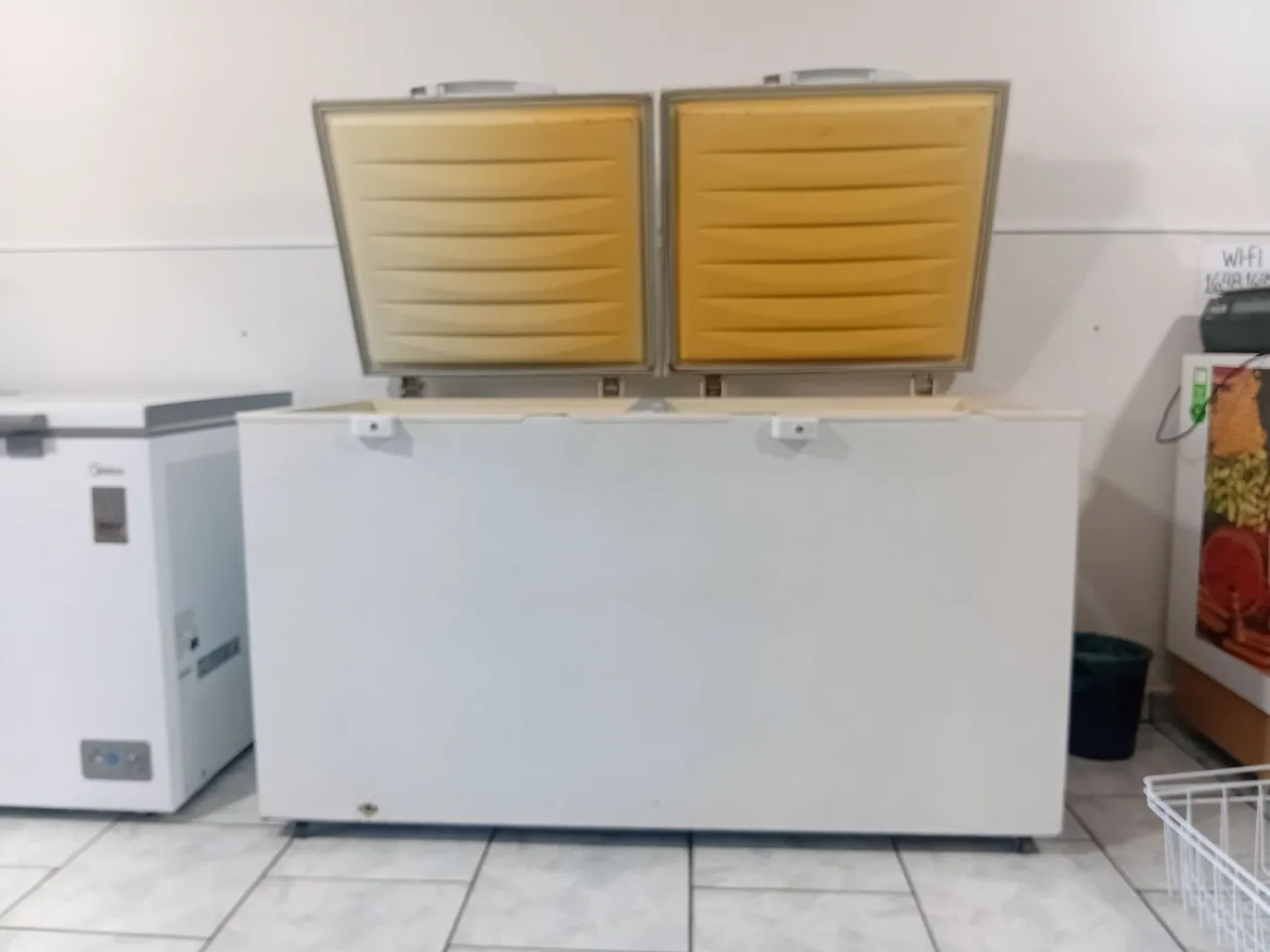 freezer Electrolux