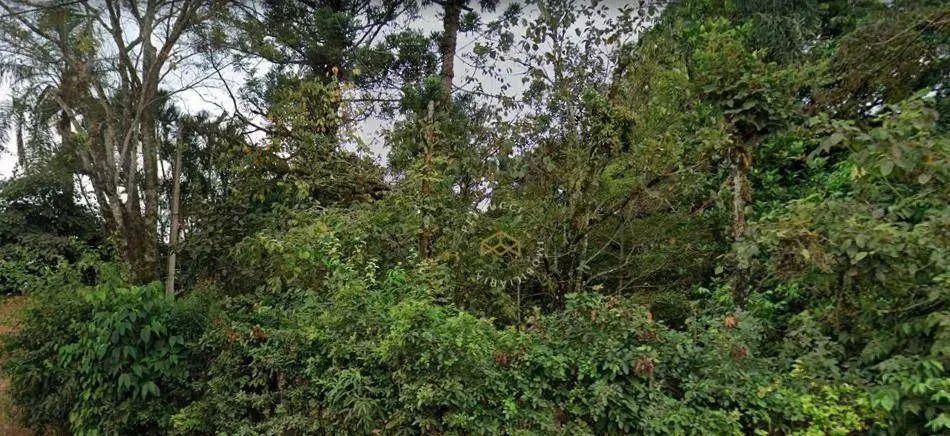 Área à venda, 400000 m² por R$ 24.000.000,00 - Vila Sônia - Piracicaba/SP - Foto 3