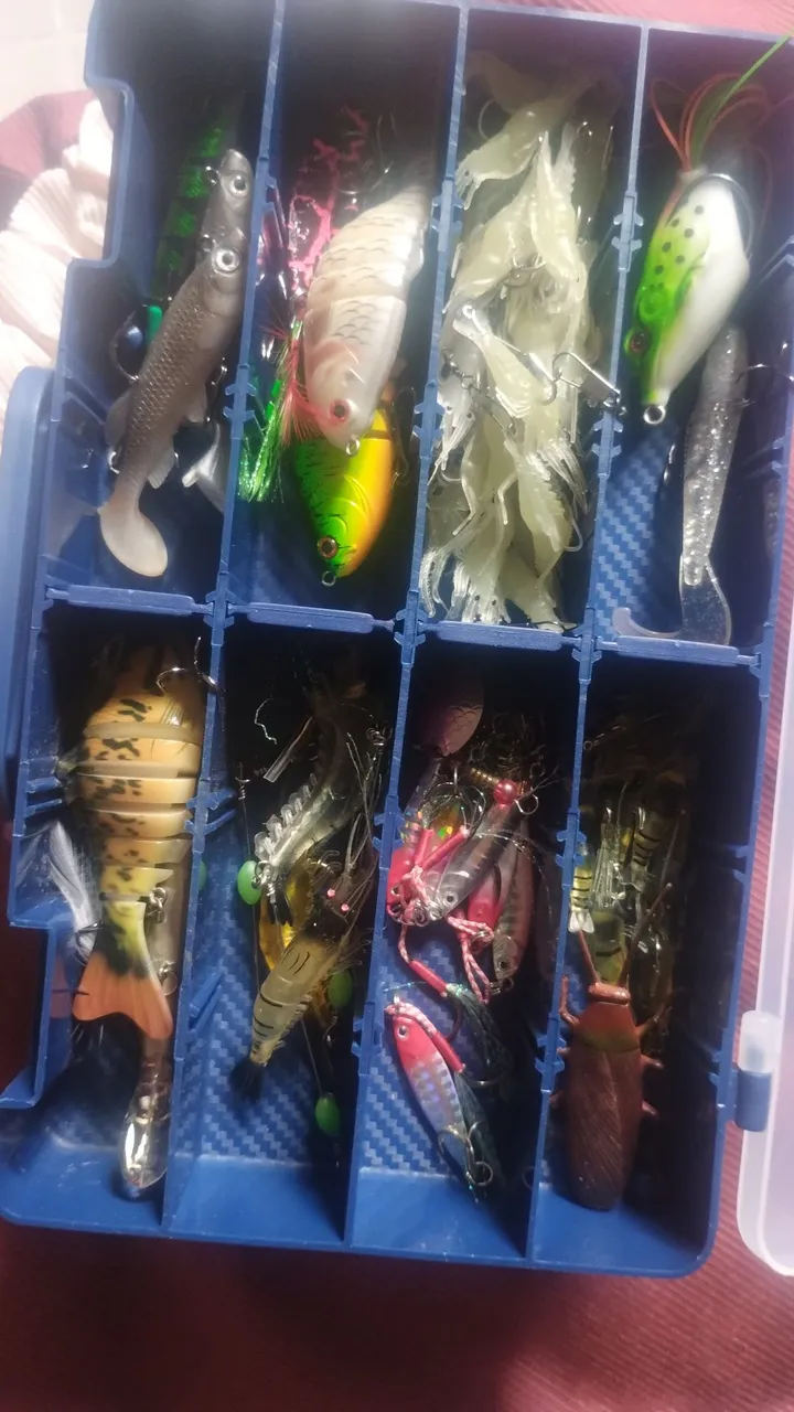 Iscas de pesca