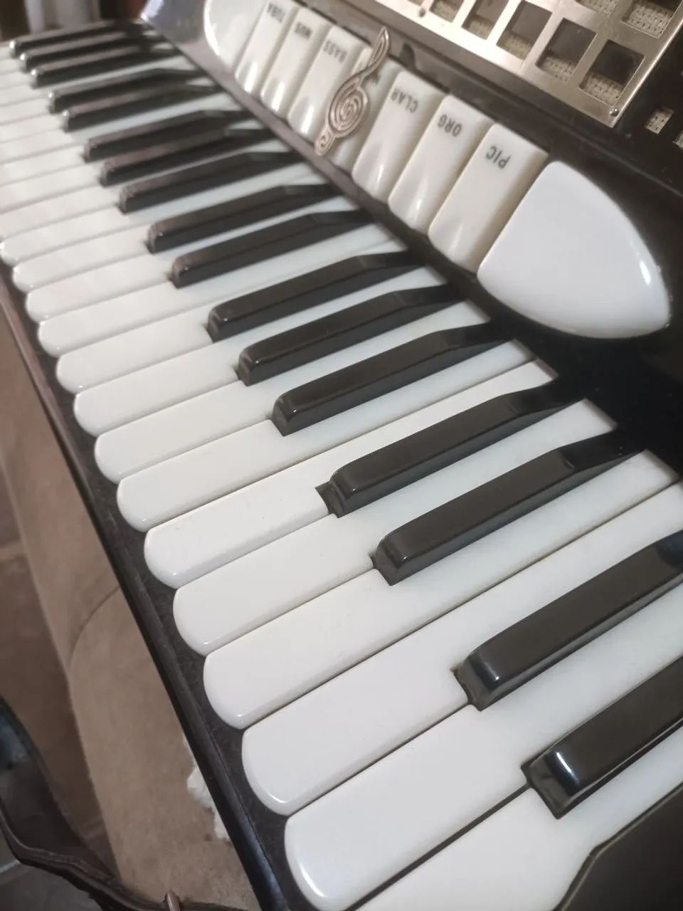 Acordeon 64167781327873122