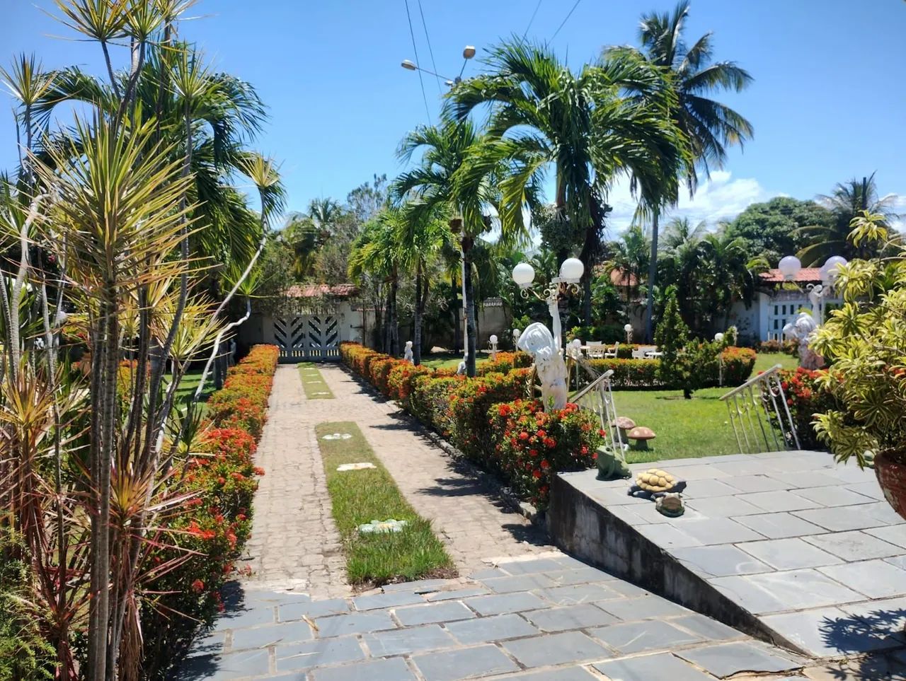 Vendo chácara de 3,77 tarefas no Mosqueiro - Foto 3