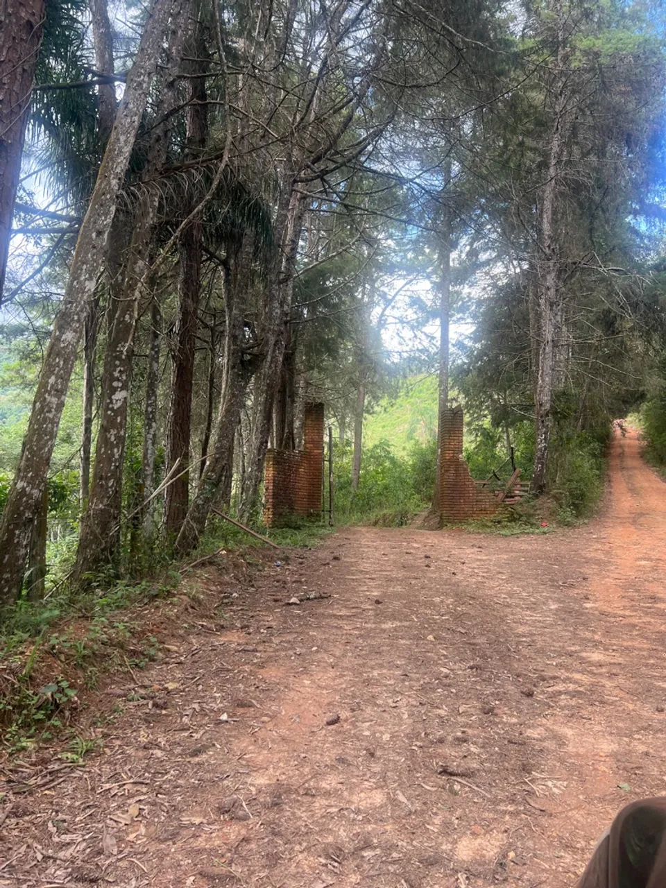 Terreno