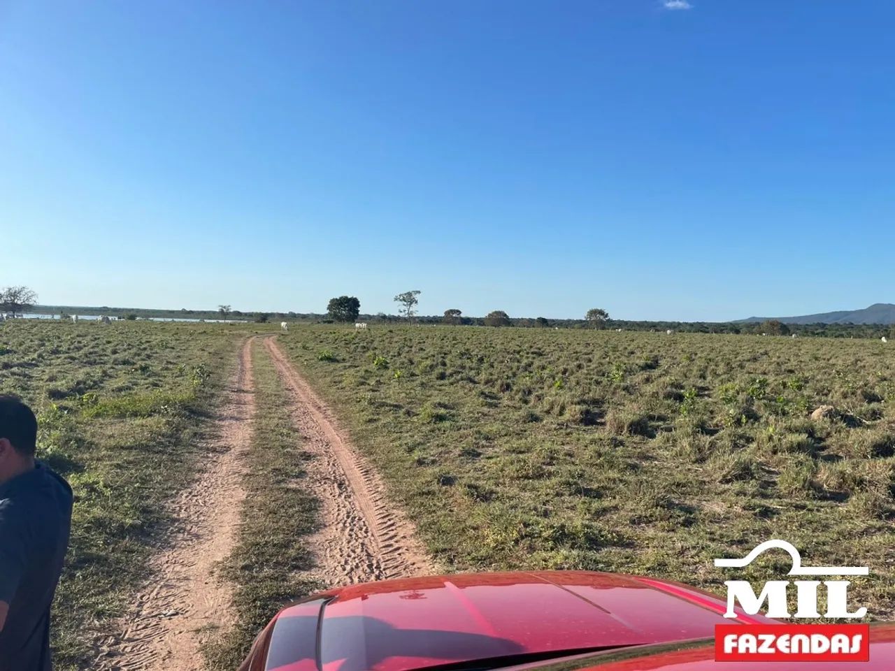 Fazenda em Talismã-TO. . 55 Alq. (266 Há). Boa p/ Soja - Foto 4