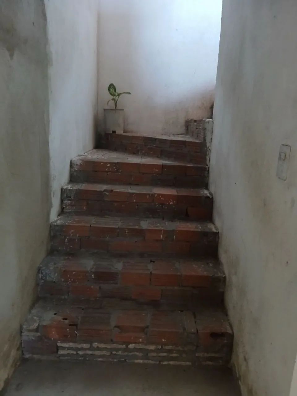 Foto - Caucaia - Parque Soledade