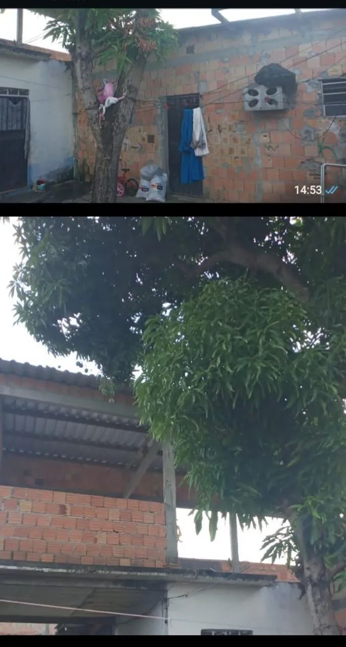 Foto - Manaus - Gilberto Mestrinho