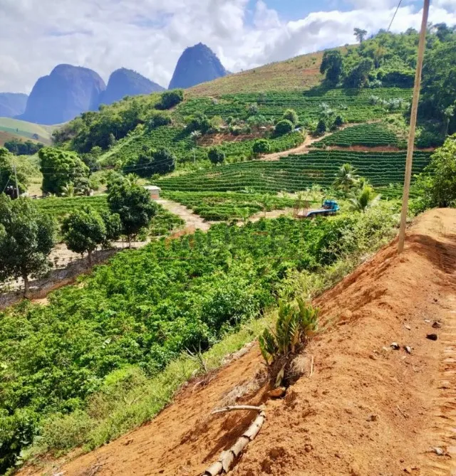 Terreno de 01 Alqueire em São João Pequeno