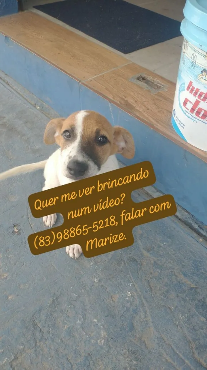 Filhote macho, 3 meses