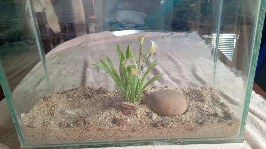 Vendo Aquário 16 Litros