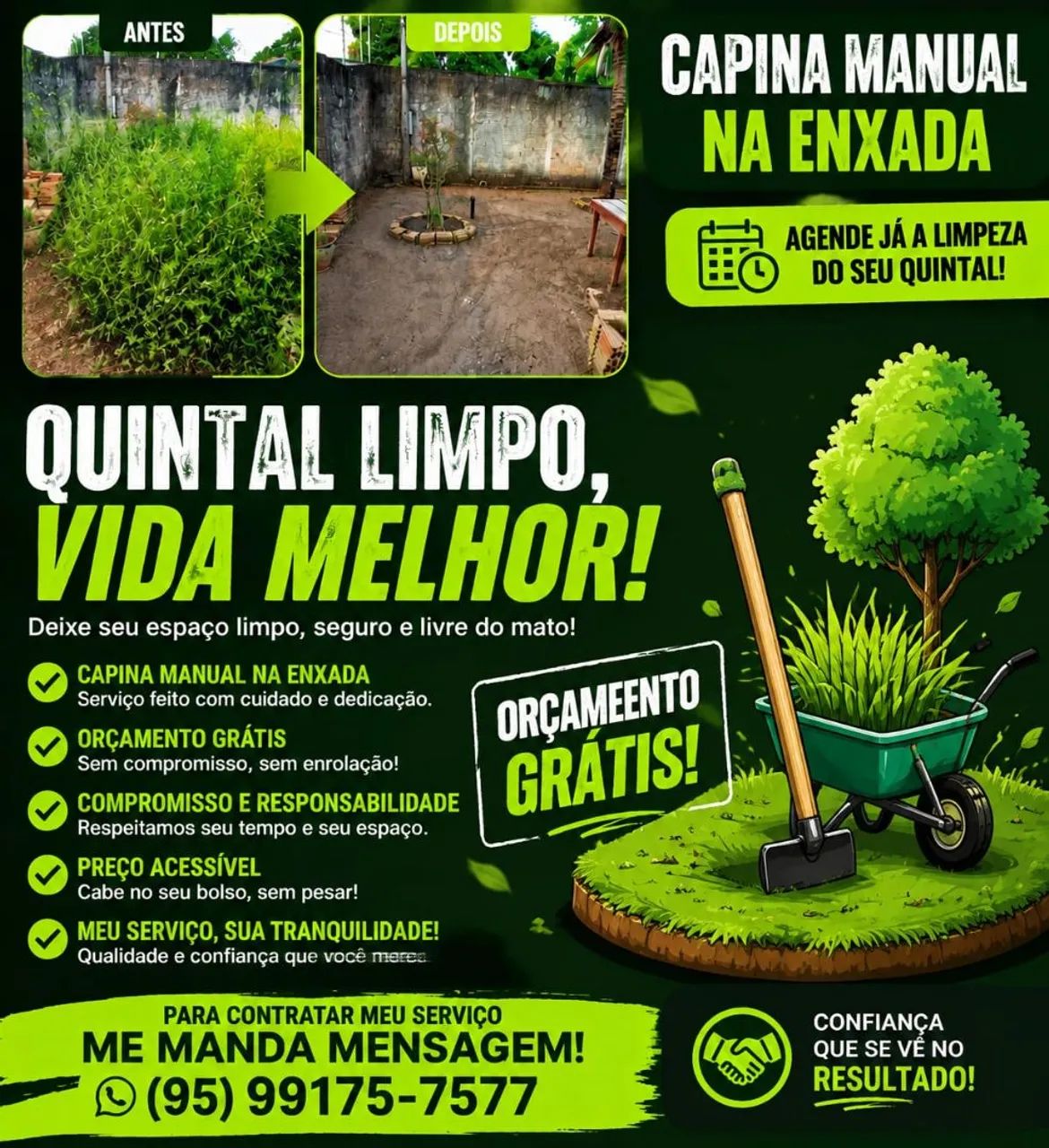 Limpeza de quintal/Terreno