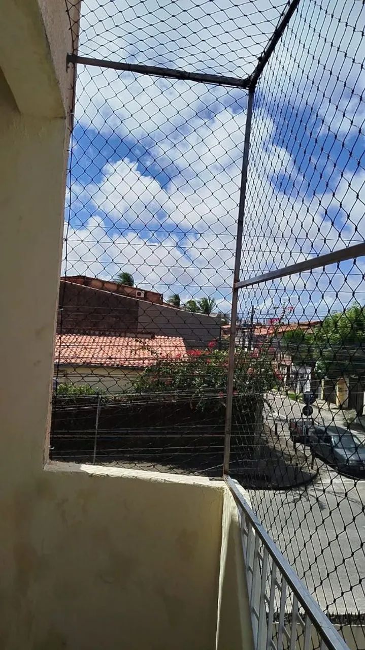 Proteção para pets  - Foto 2