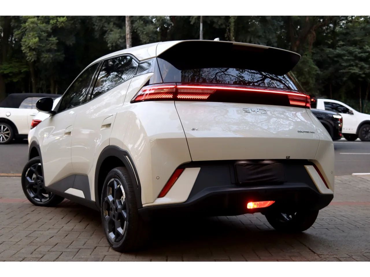 BYD Dolphin GS (Elétrico) 2027 - Foto 4