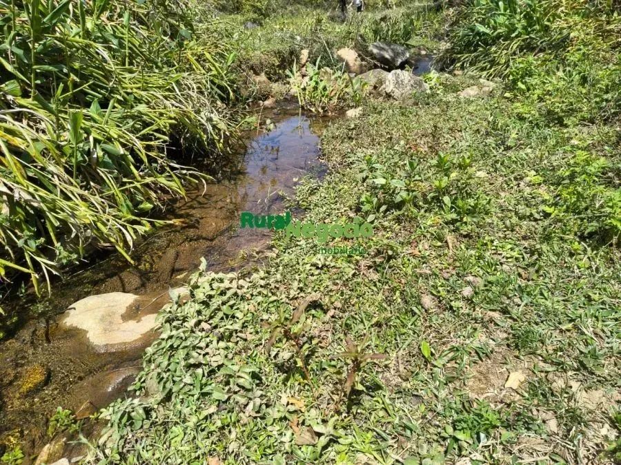 SÍTIO COM BELA TOPOGRAFIA E RIACHO NO PASSA VINTE EM CRUZEIRO-SP - Foto 4
