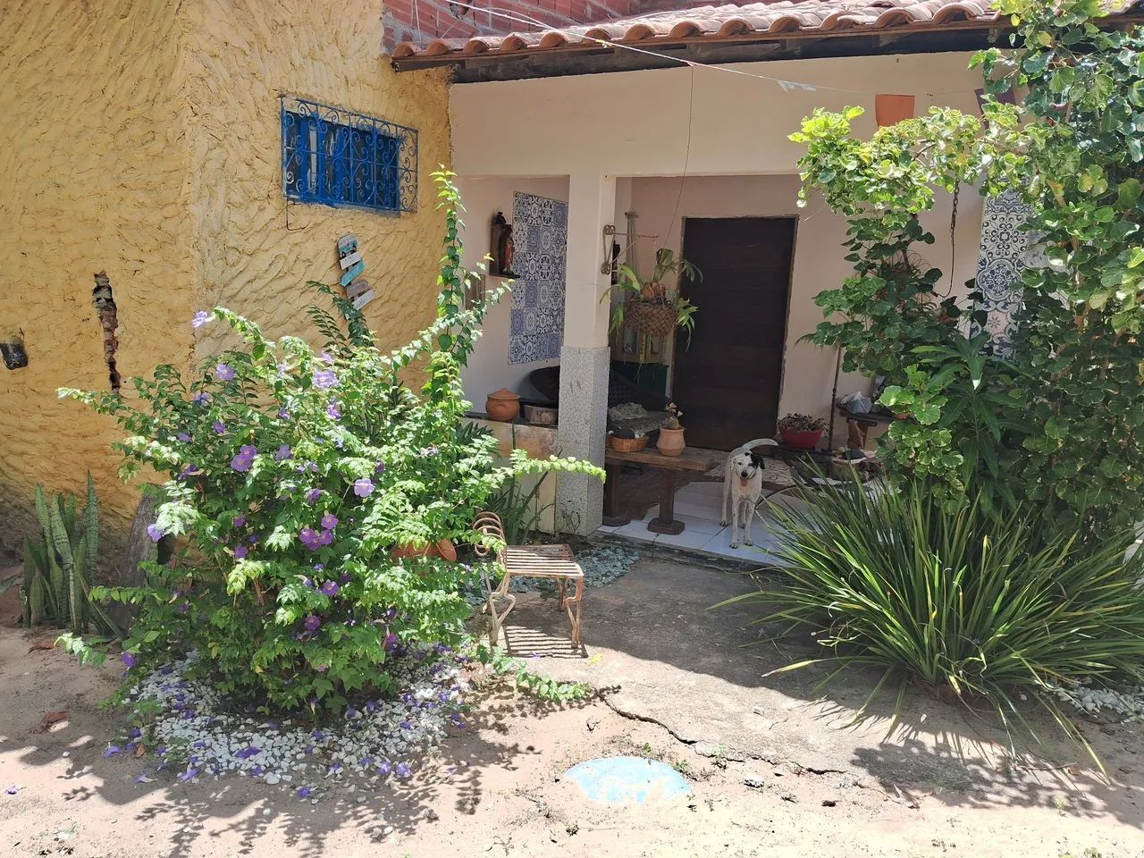 VENDO OU ALUGO LINDO SITIO!!! - Foto 4